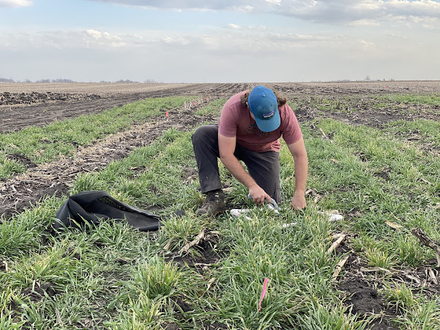 Farmer taking biomass samples