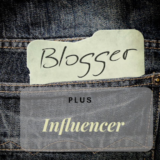 profesi blogger plus influencer