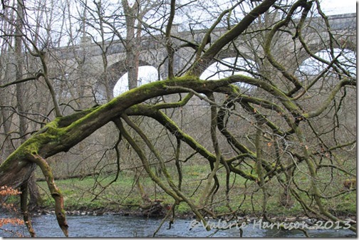 1-aquaduct