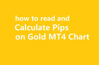 How to Read and Calculate Pips on Gold MT4 Chart