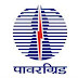 (PGCIL) पॉवर ग्रिड कॉर्पोरेशन ऑफ इंडिया मध्ये 203 जागांसाठी भरती