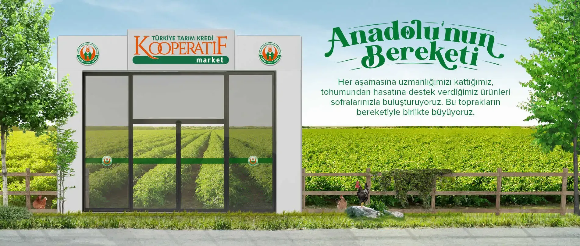 türkiye tarım kredi kooperatif market indirim ve kampanyaları