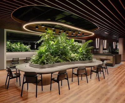 Biophilic Design,