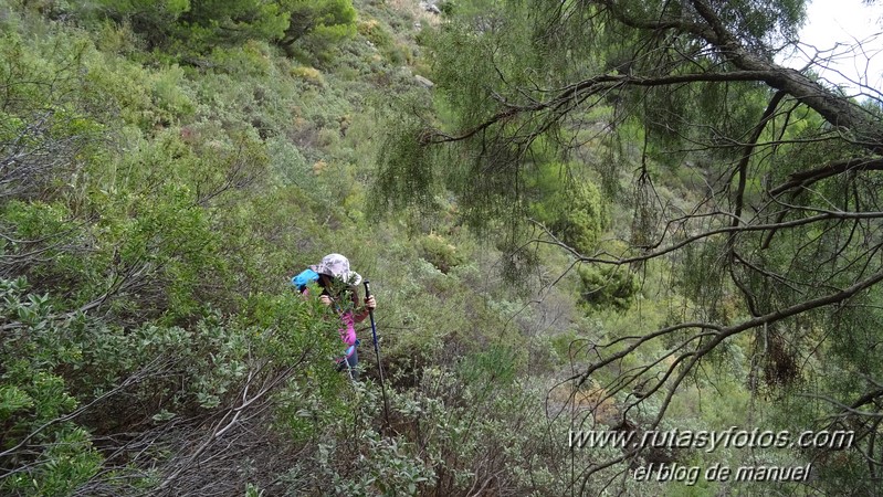 Ermita Virgen de las Nieves - Sendero de las Caleras - Cerro del Tocón - Fuente Janón