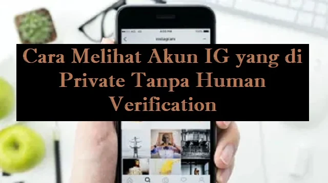 Cara Melihat Akun IG yang di Private Tanpa Human Verification