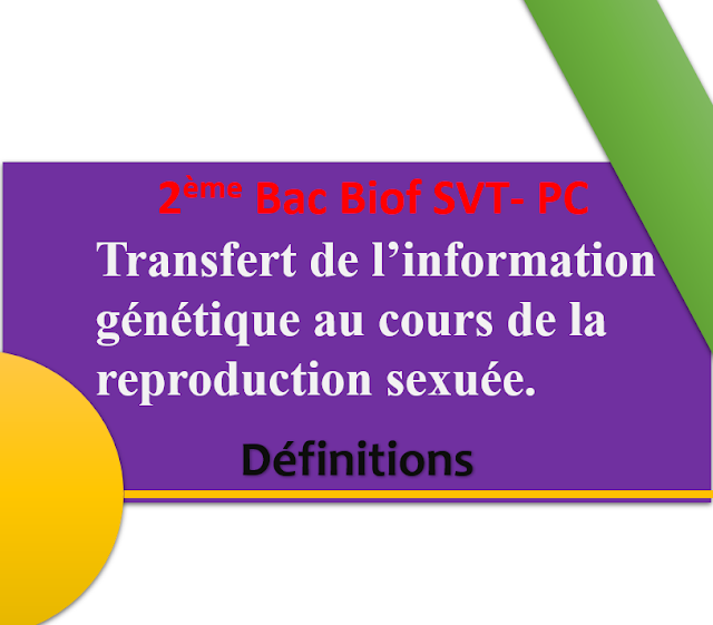 Transfert de l’information génétique au cours de la reproduction sexuée.