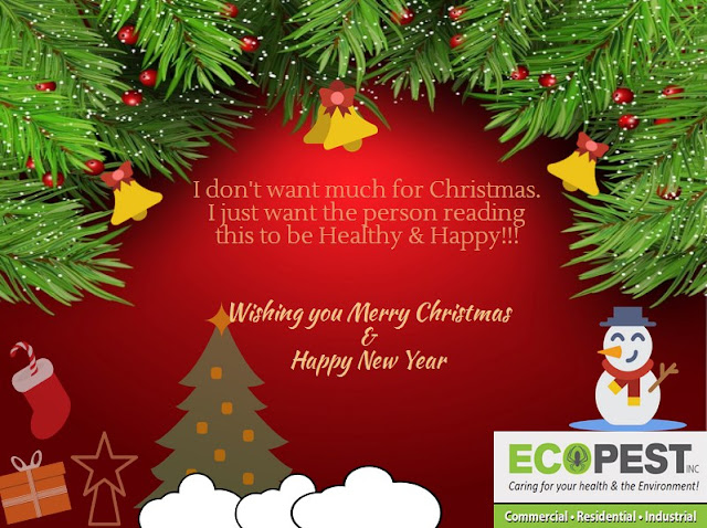 Merry Christmas- Ecopest Inc.