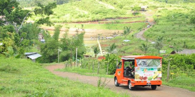 Kebun Buah Agro Wisata Ngebruk Patean di Kendal Jawa Tengah