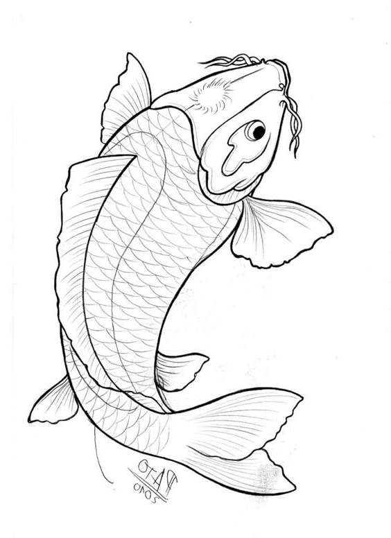 30 Gambar Ikan Koi Kartun Asli Dan Sketsa Servergambar01