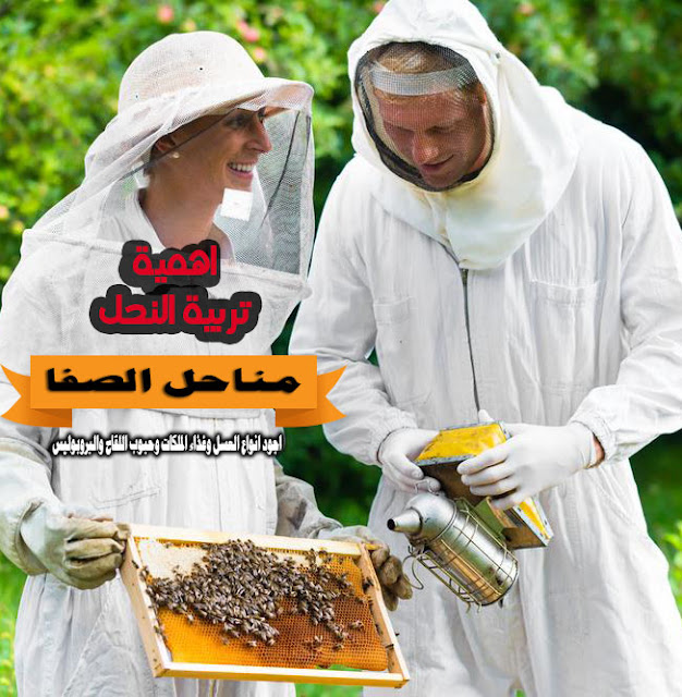 العاملون في مهنة تربية النحل لا يصابون بالسرطان