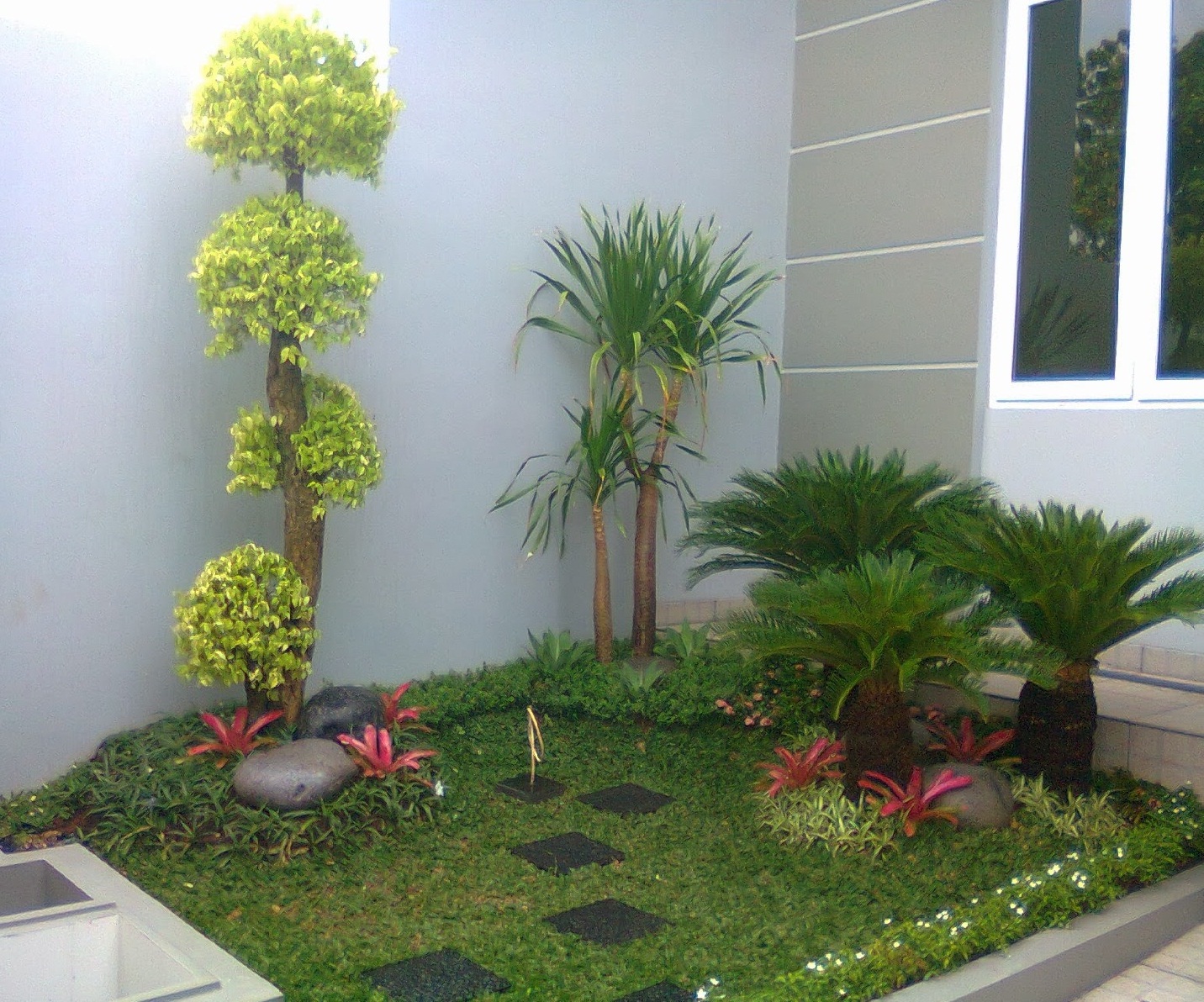 JUAL TANAMAN DAN RUMPUT TAMAN Jual Rumput Tamantanaman Hiaspohon