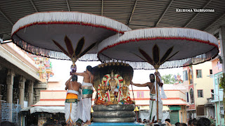 Aani,Aadhi Sesha, Vahanam,Sri Theliya Singar, Yoga Narasimhar,Brahmotsavam ,Purappadu,Video, Divya Prabhandam,Sri Parthasarathy Perumal, Triplicane,Thiruvallikeni,Utsavam,