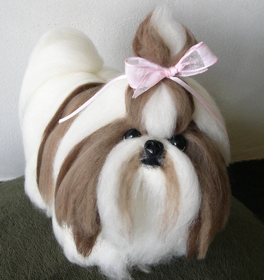 Perawatan Shih Tzu PET