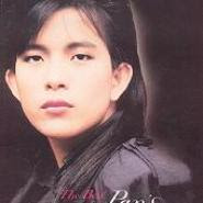 Pan Mei Chen (潘美辰) - Wo Zeng Yong Xin Ai Zhuo Ni (我曾用心爱着你)