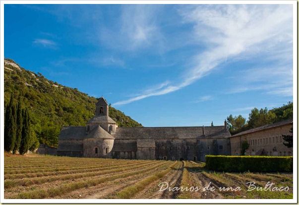 Abadia de Senanque-4