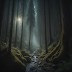 Photoshop Forest Art Stock