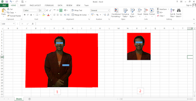 Cara Mengganti Background Foto di Excel