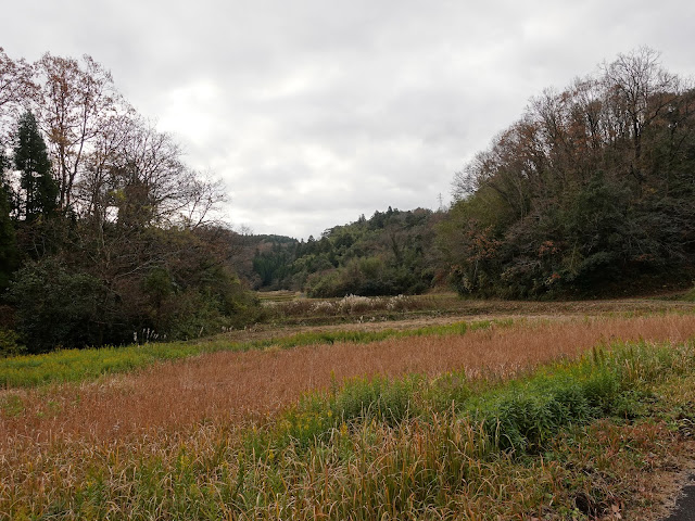 伯耆町の小野集落の農道からの眺望