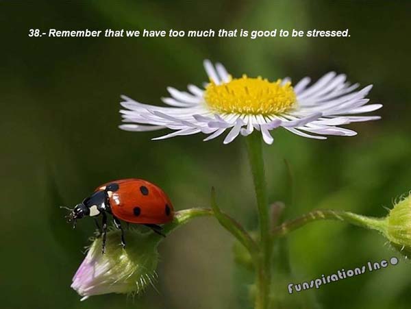 Remember that we have too much that is good to be stressed.