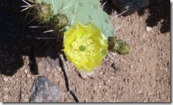 20160421_103437
