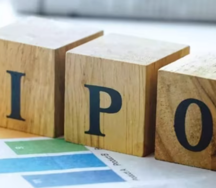  Is it better to forgo or subscribe to the Indegene Limited IPO