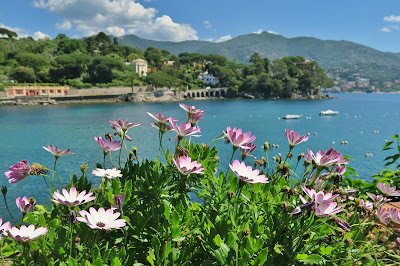  Pomaro Bay, San Michele di Pagana, view toward Capo Pomaro & Rapallo.