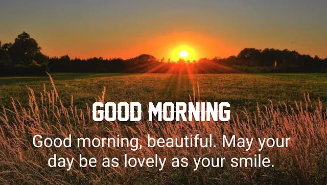 Quotes for the Morning