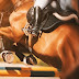 Factors to Look At Before Purchasing Jumping saddles for sale Australia
