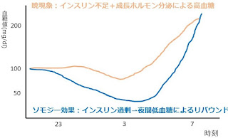 ソモジー効果と暁現象