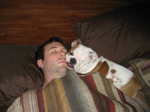 adorable-pups-23