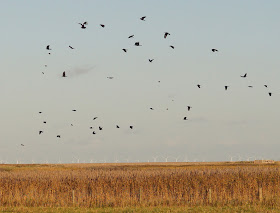 Best UK photography blog Norfolk countryside Vuelio media