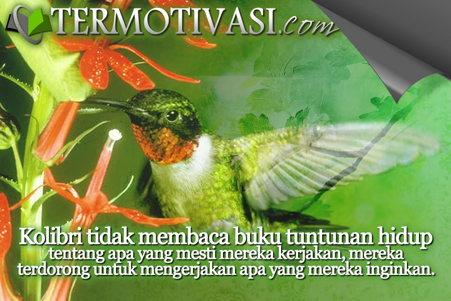 Fabel Motivasi - Ming Ming si Kolibri Petualang