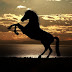 O Cavalo na Umbanda