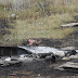 MH17 : KUMPULAN LELAKI BERSENJATA HALANG PEMERHATI 