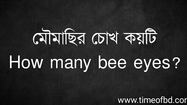 মৌমাছির চোখ কয়টি | How many bee eyes?