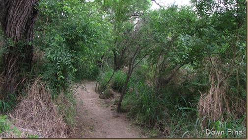 San Ignatio and surroundings_097