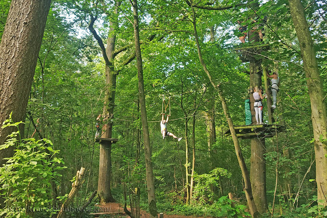 Natura Parc Ziplining. Things to do at Lac de l'Eau d'Heure