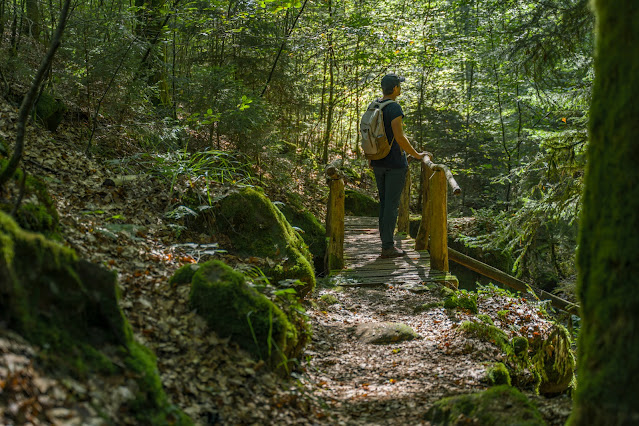 Forsthaus Annweiler Rundwege 3 und 5 | Zum Kirschfelsen und durch das Eiderbachtal | Wandern Südliche Weinstrasse 14