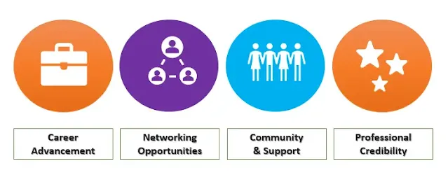 Look for Networking Opportunities and Community Support
