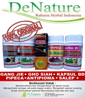 harga resmi obat kutil kelamin herbal de nature