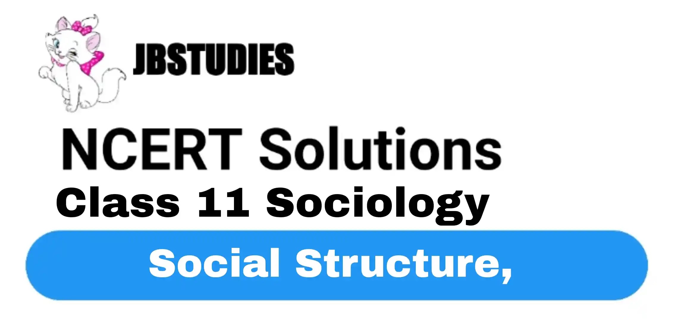 Solutions Class 11 Sociology Chapter-1 Social Structure, Stratification and Social Processes in Society