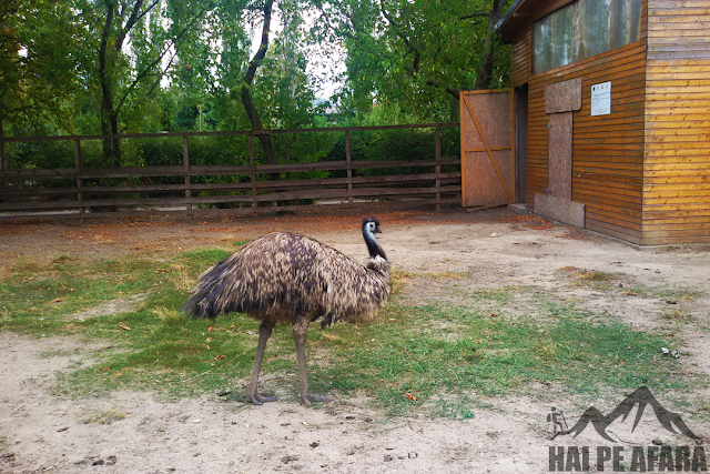 strut in microrezervatia Constanta