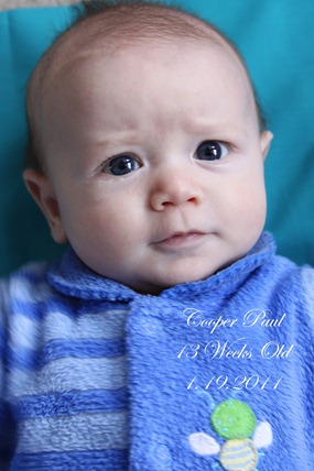 13 weeks old