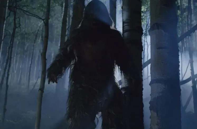 A new high-quality photo of Bigfoot has appeared on the Internet
