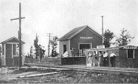Peacock, Michigan railroad station