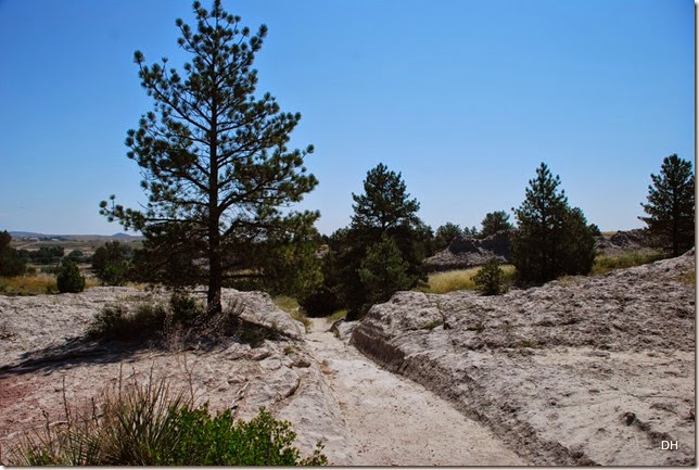 07-03-14 B Oregon Trail Ruts SHP (31)