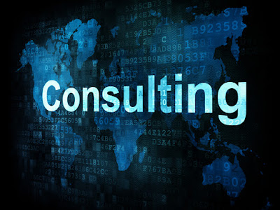 Business Process Consulting Services