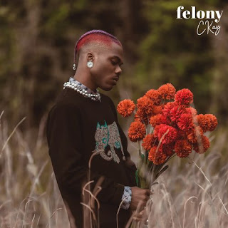 Ckay - Felony (Prod. by Auxx)