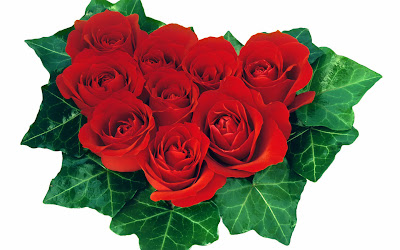 Red-Roses-Heart-Shape