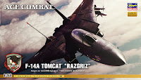 Hasegawa 1/72 F-14A TOMCAT 'RAZGRIZ'(SP313) Color Guide & Paint Conversion Chart